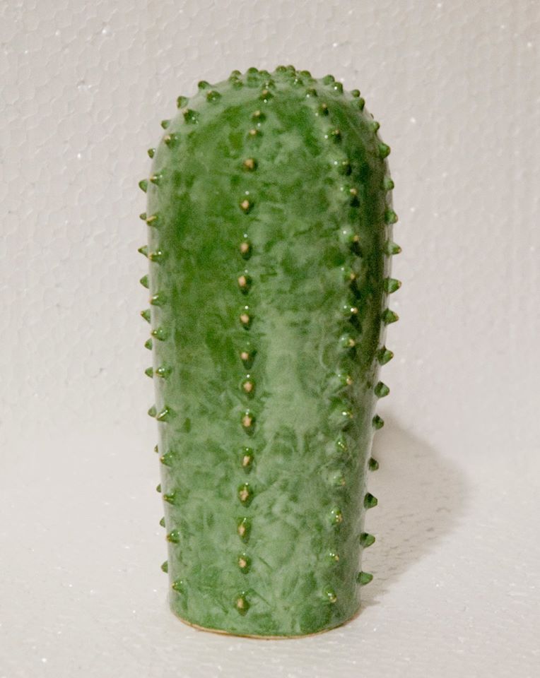 cactos 1.jpg